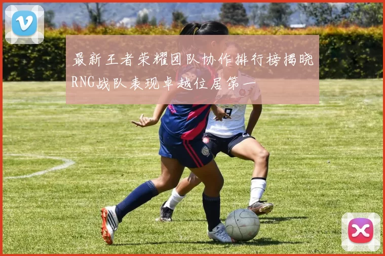 最新王者荣耀团队协作排行榜揭晓RNG战队表现卓越位居第一