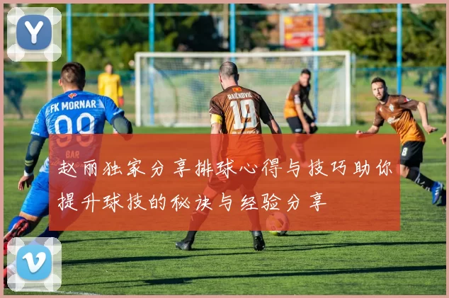 赵丽独家分享排球心得与技巧助你提升球技的秘诀与经验分享