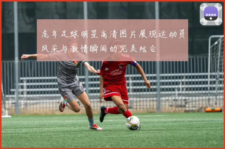 虎年足球明星高清图片展现运动员风采与激情瞬间的完美结合