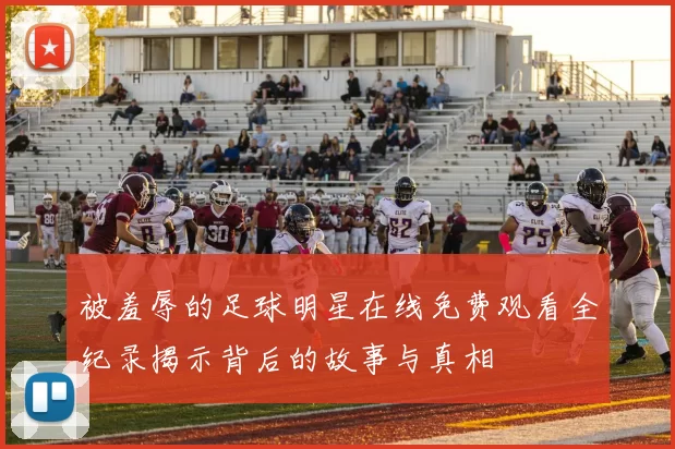 被羞辱的足球明星在线免费观看全纪录揭示背后的故事与真相