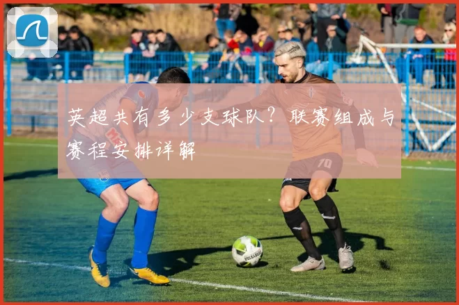 英超共有多少支球队？联赛组成与赛程安排详解