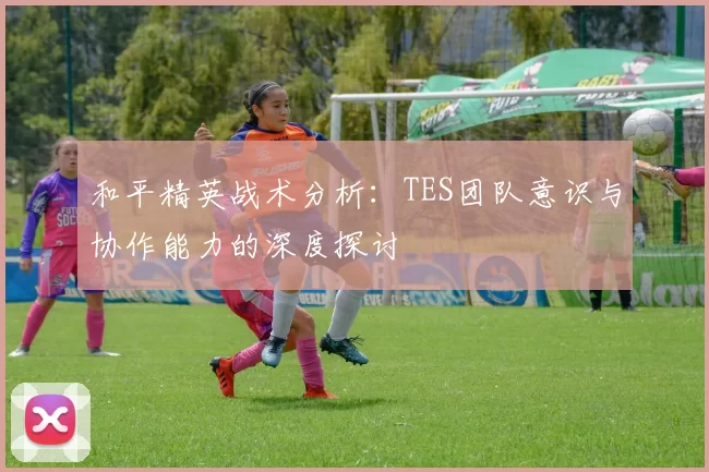 和平精英战术分析：TES团队意识与协作能力的深度探讨