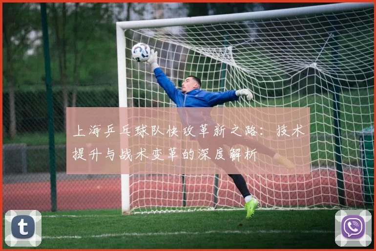 上海乒乓球队快攻革新之路：技术提升与战术变革的深度解析