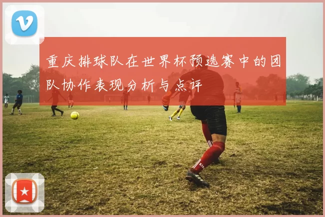 重庆排球队在世界杯预选赛中的团队协作表现分析与点评