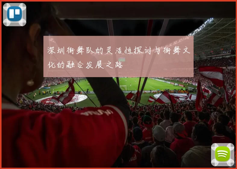 深圳街舞队的灵活性探讨与街舞文化的融合发展之路