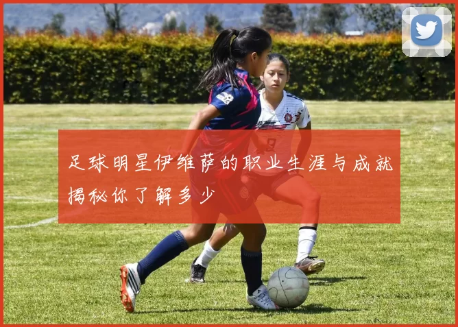 足球明星伊维萨的职业生涯与成就揭秘你了解多少
